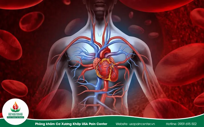 bệnh tim mạch ảnh hưởng liên quan cơ xương khớp