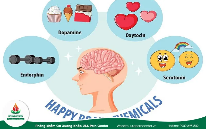 Chất dẫn truyền cảm xúc dopamine và serotonin trong cơ thể