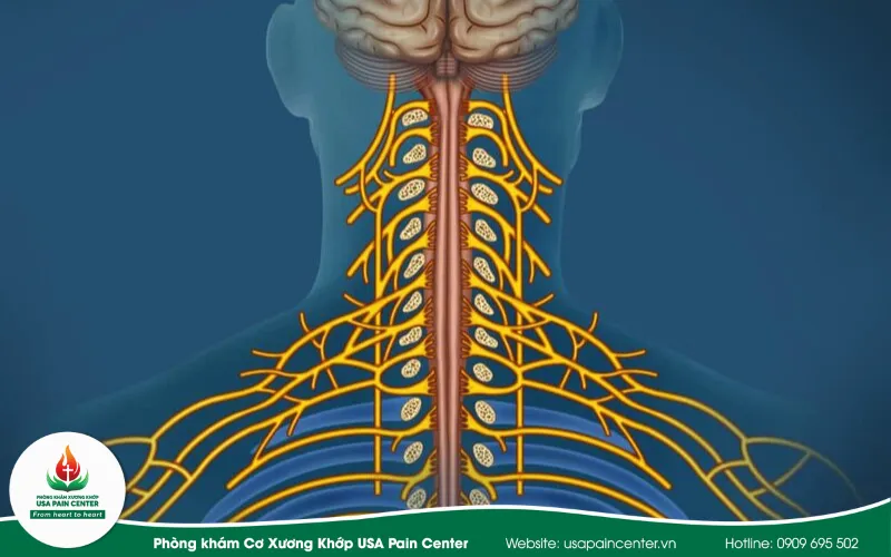 triệu chứng lâm sàng của đau dây thần kinh