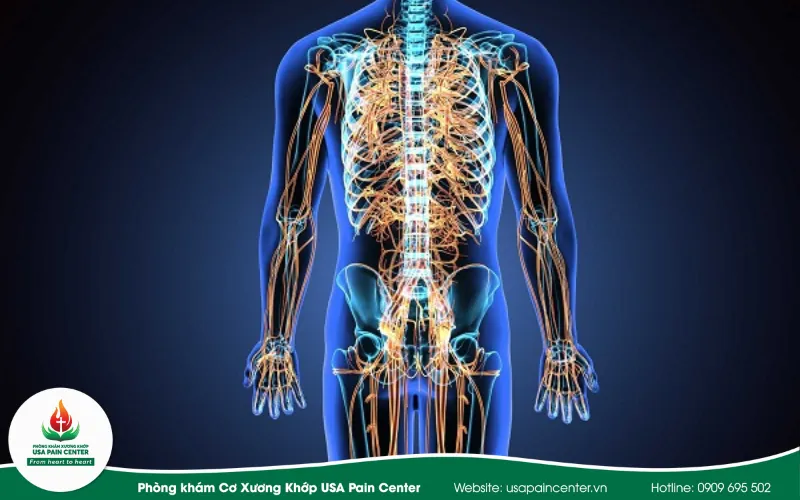 tổn thuwogn dây thần kinh ngoại biên gây tê bì tay chân