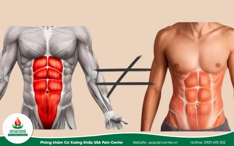 Chức năng cơ lõi trong sức khỏe cơ xương khớp