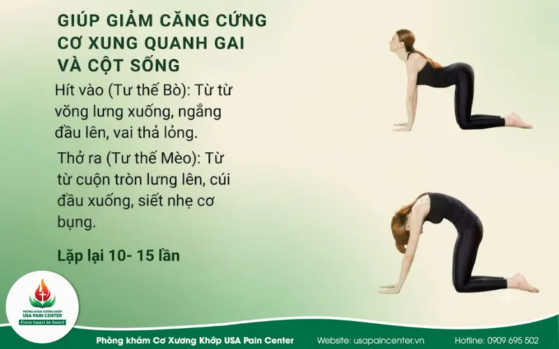 bài tập tư thế Mèo Lạc đà