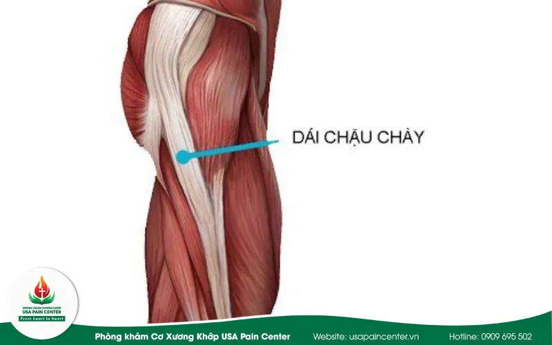 dãi chậu chày