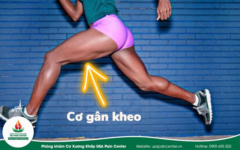 Chấn thương cơ gân kheo là bị gì?