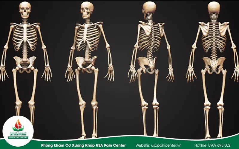 Khám nội cơ xương khớp là khám những gì?